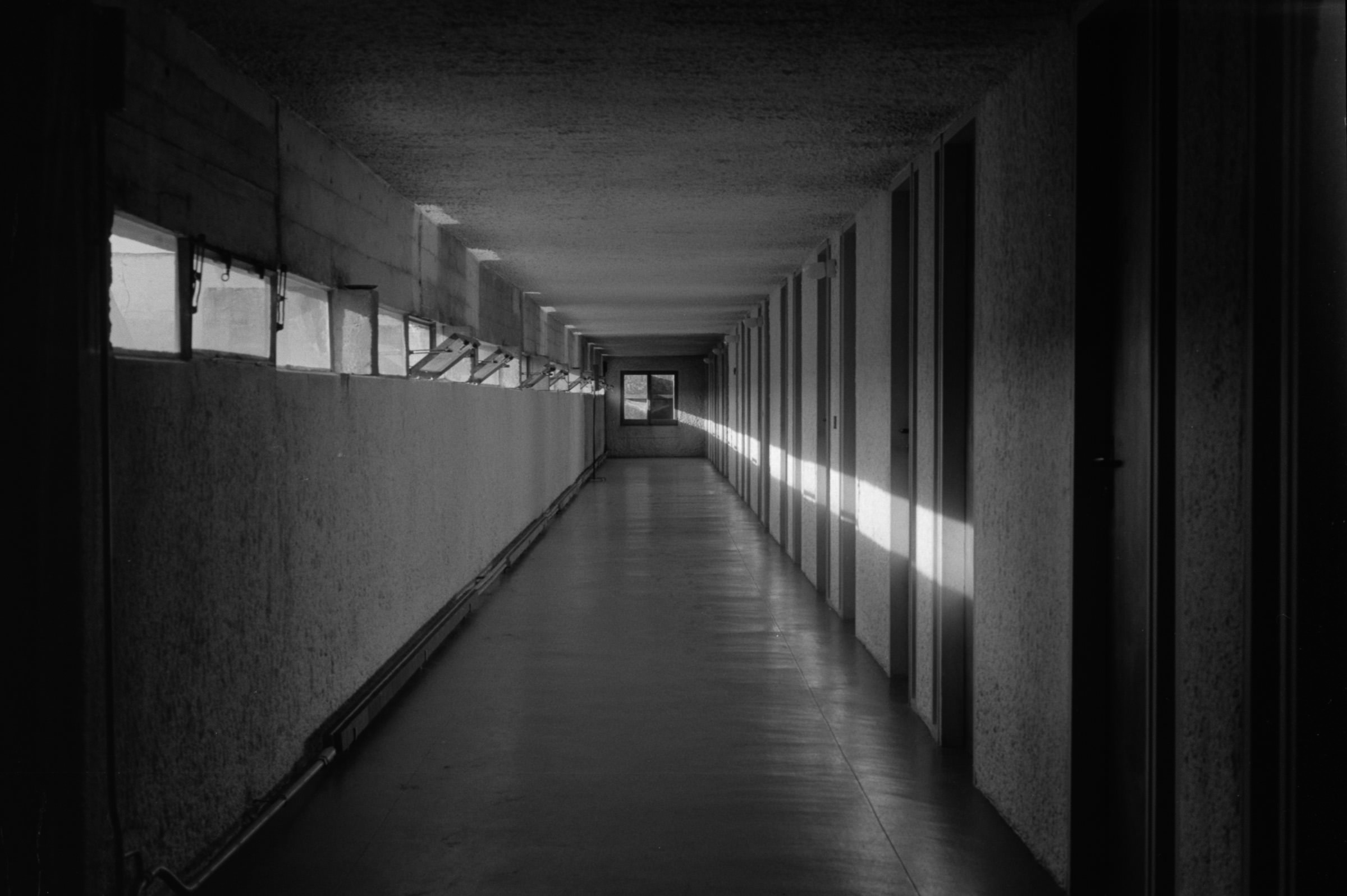 AHP F1993 08 001 sc240823 img24 NLP